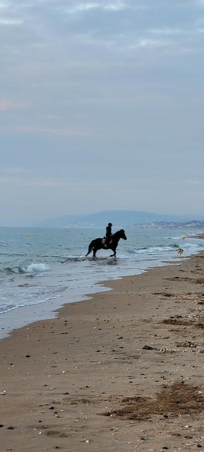 Villers Plage 1 Exterior foto